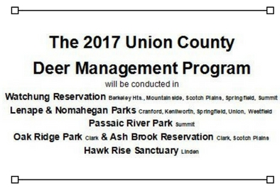 NF deer hunting 2017 (1).jpg